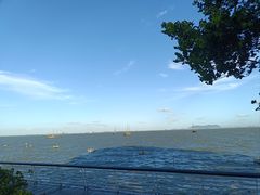 -贡湖湾湿地公园