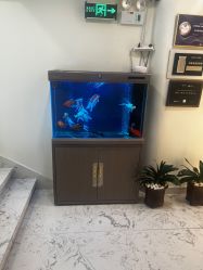 -海涛医疗美容·面部抗衰·注射美鼻