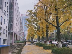 -百林公园-两江幸福广场