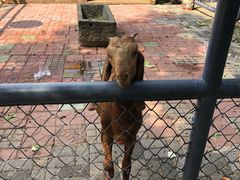 -长白岛森林公园