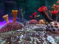 -沈阳海洋探索中心