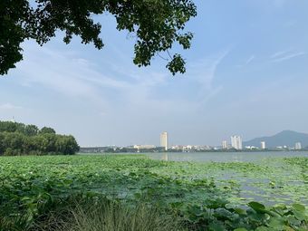 玄武湖公園-紫藤花架