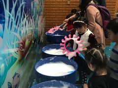 -中国宋庆龄青少年科技文化交流中心