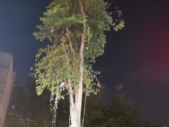 -马家斑.鲜鱼火锅(松湖万科店)