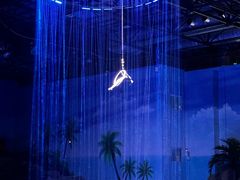 -华夏文旅西安度假区