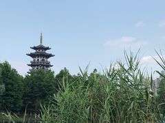 -洋湖国家湿地公园