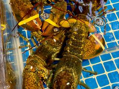 -驻海渔市(置信店)