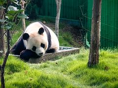 -西霞口神雕山野生动物世界