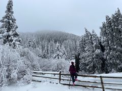 -武陵山森林公园