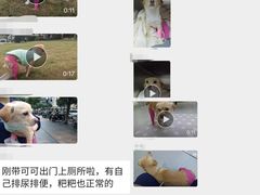 -谐和益家动物医院·免疫绝育·血液透析·宠保定点医院(高新伊藤分院)
