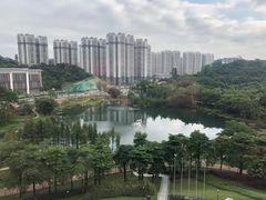 -广州汇华希尔顿逸林酒店