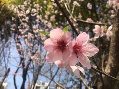 -新江湾城公园