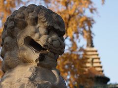 -北京石刻艺术博物馆(五塔寺)