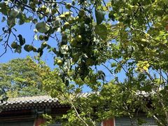 -潭柘寺景区