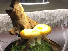 -芸山季·云南山珍菌火锅(人民广场来福士店)