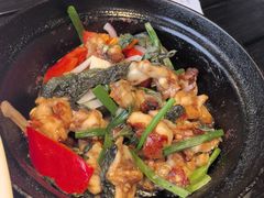 吱吱牛蛙煲-朴墅(西湖青芝坞店·杭帮菜·家宴.14年的店)
