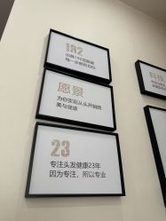 -菩叶脱发白发中心