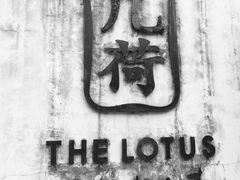 -几荷·恰似故人来(秀水广场店)