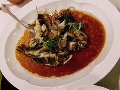 -伯衡55·吉品轩(乌鲁木齐南路店)