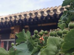 -宛平九号