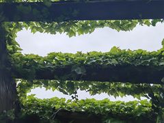 -郧西五龙河风景区