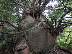 -草庵摩尼教遗址公园