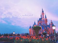 -上海迪士尼度假区