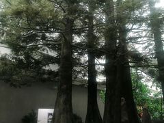 -中国湿地博物馆