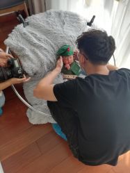 -大树儿童摄影