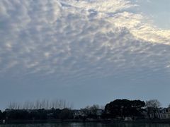 -同里湖度假村(二期店)