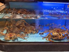 -阿伟海鲜楼·福建菜(延寿店)