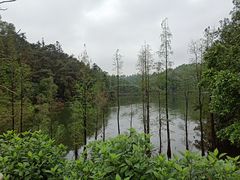 -三水森林公园