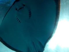 -多彩贵州城极地海洋世界