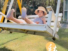 -前小桔亲子创意农场·草莓采摘·露营烧烤