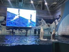 -福州罗源湾海洋世界旅游区