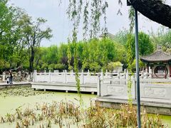 -莲湖公园