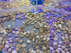 -澜悦港海鲜体验主题餐厅