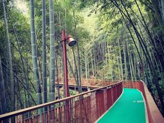 -莫干山风景区