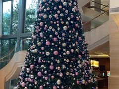 -新发展亚太JW万豪酒店大堂吧