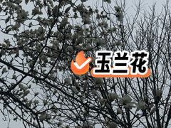 -南京市规划建设展览馆