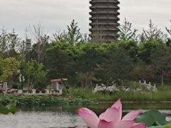 -西海子公园