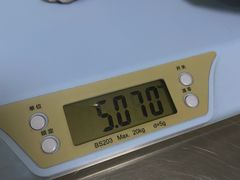 -特一安24小时宠物医院·骨科·中兽医
