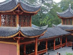 -南山植物园