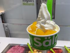 -Salud撒露欧洲冻酸奶(蓝色港湾店)