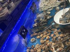 -宴立方海鲜自助(义乌万达广场店)