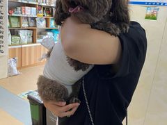 -康乐宝动物医院