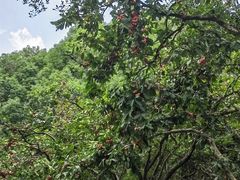 -人民公园(罗湖区)