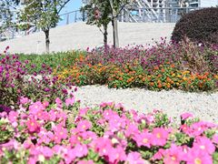 -文华公园(禅城区)