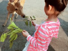 -清迈夜间动物园