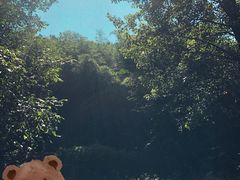-秦岭终南山世界地质公园翠华山景区